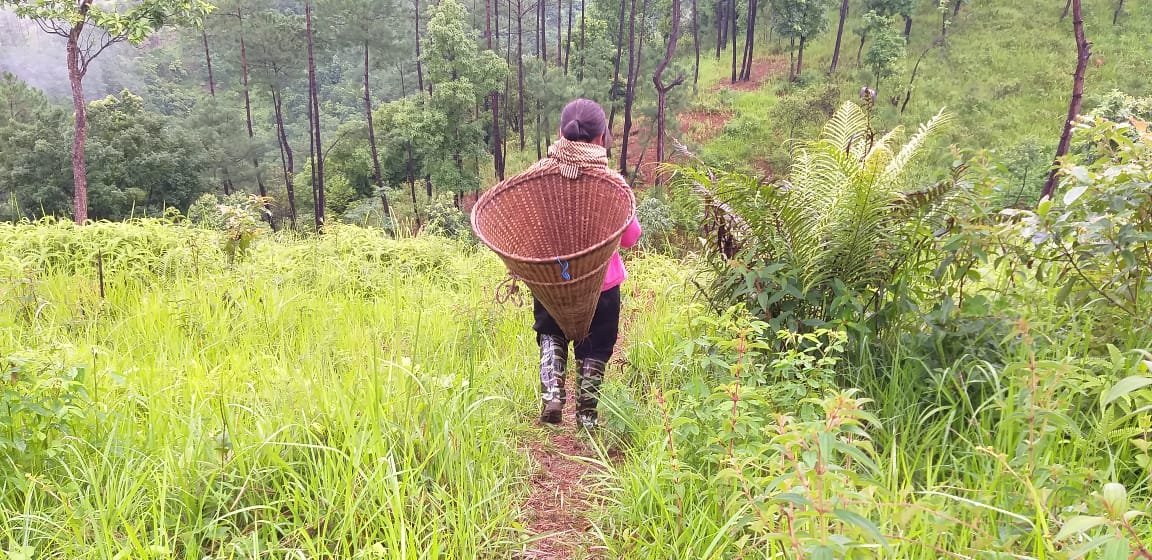 IMG-20230521-WA0009 Geneva Dohling working alongside women farmers in the fields of Meghalaya